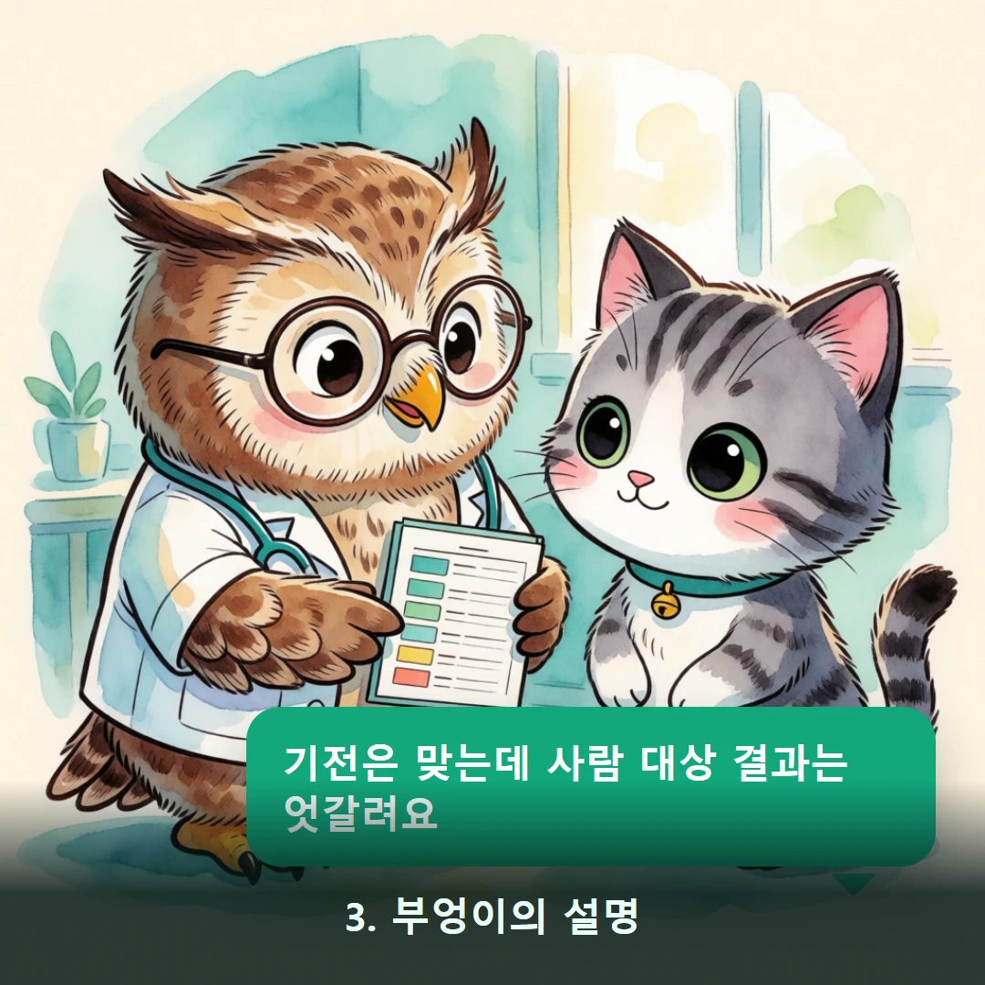 웹툰 3컷 — 3. 부엉이의 설명 (기전은 맞는데 사람 대상 결과는 엇갈려요)