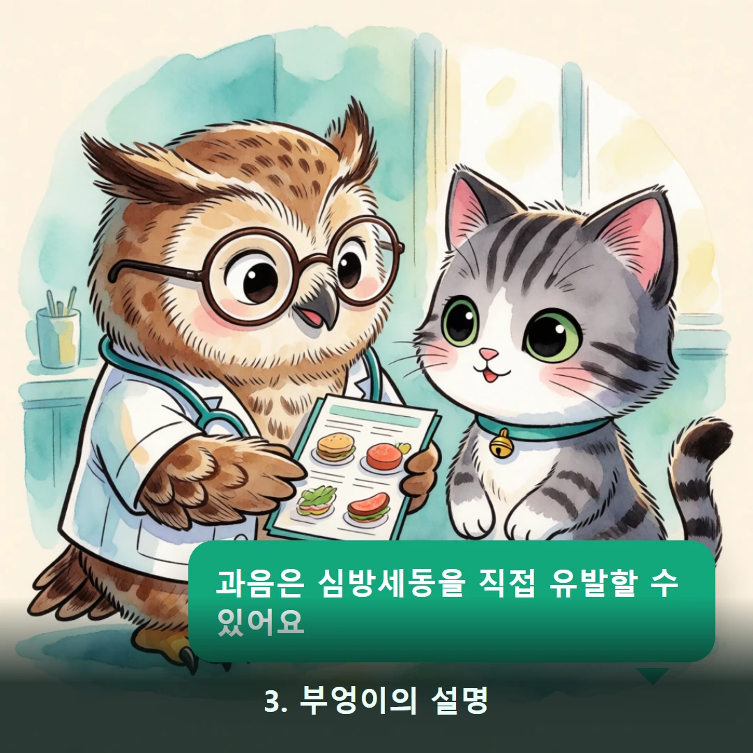 웹툰 3컷 — 3. 부엉이의 설명 (과음은 심방세동을 직접 유발할 수 있어요)