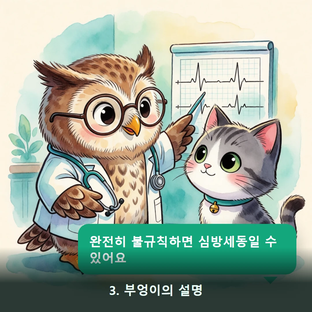 웹툰 3컷 — 3. 부엉이의 설명 (완전히 불규칙하면 심방세동일 수 있어요)