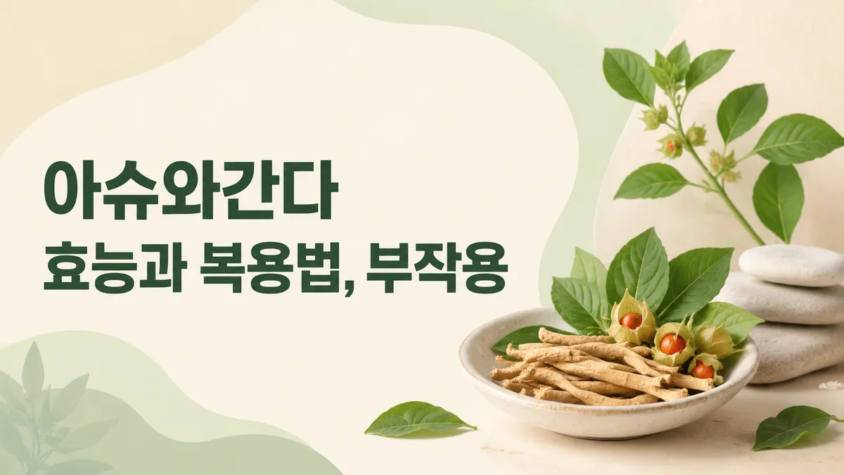 아슈와간다 효능과 부작용, 근거와 안전성은 어디까지