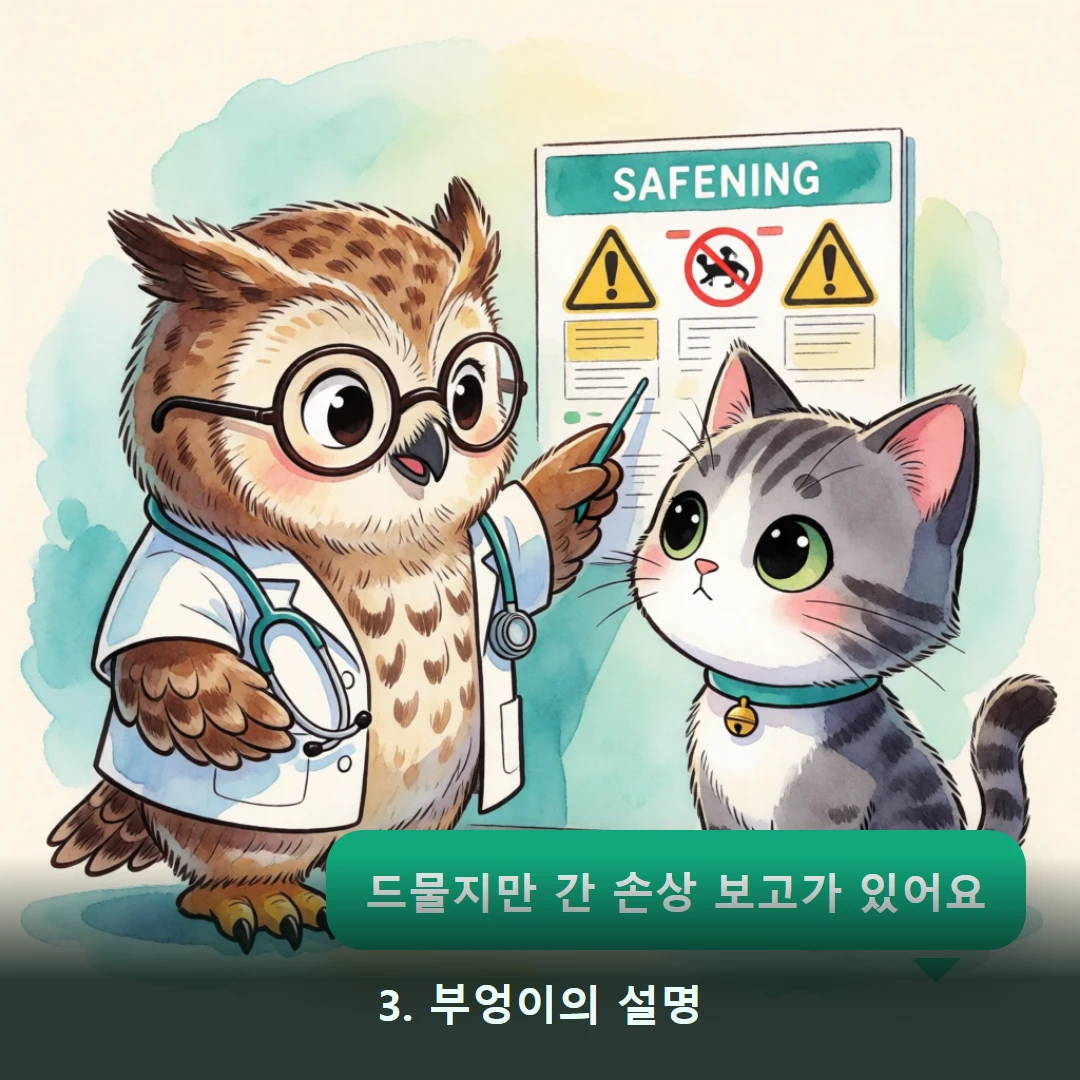 웹툰 3컷 — 3. 부엉이의 설명 (드물지만 간 손상 보고가 있어요)