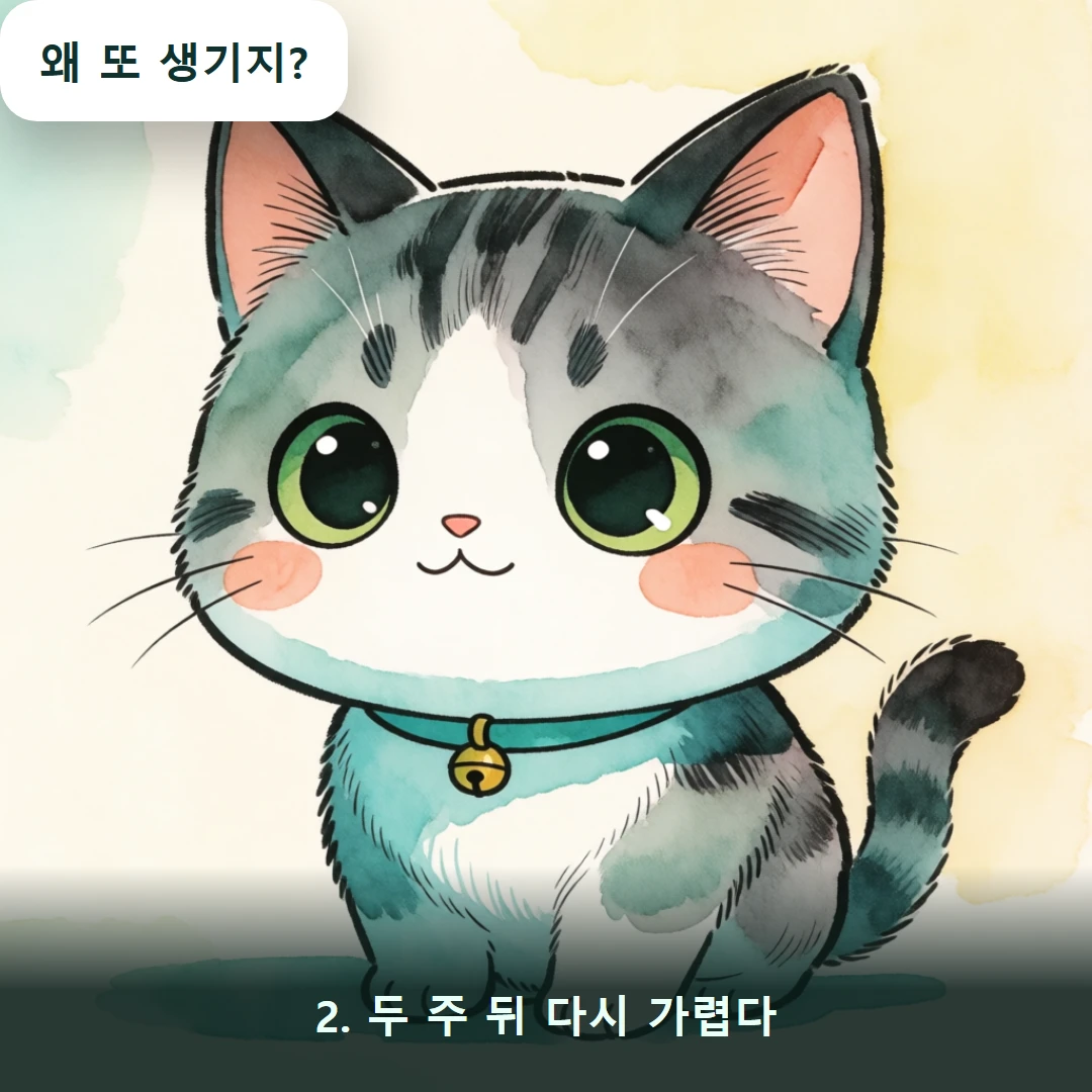 웹툰 2컷 — 2. 두 주 뒤 다시 가렵다 (왜 또 생기지?)
