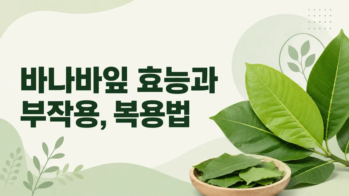 바나바잎 효능과 부작용, 근거는 어디까지인가