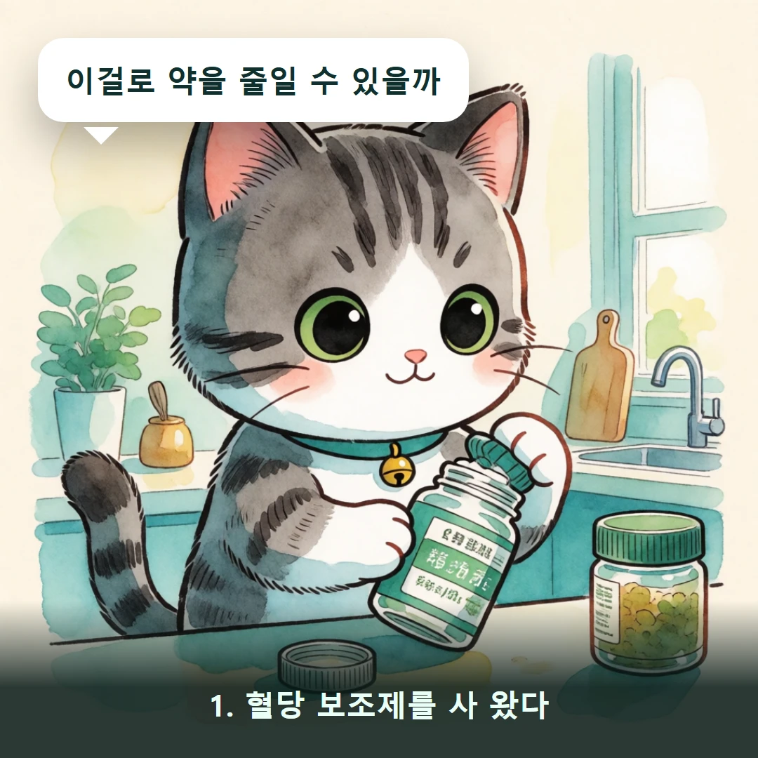 웹툰 1컷 — 1. 혈당 보조제를 사 왔다 (이걸로 약을 줄일 수 있을까)