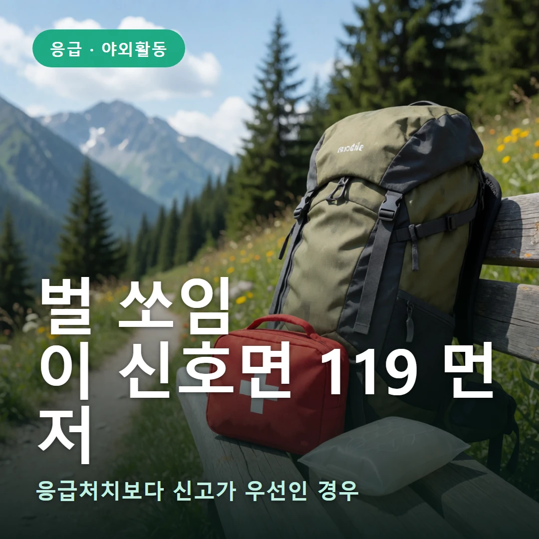 벌 쏘임 요약 표지 — 응급처치보다 신고가 우선인 경우