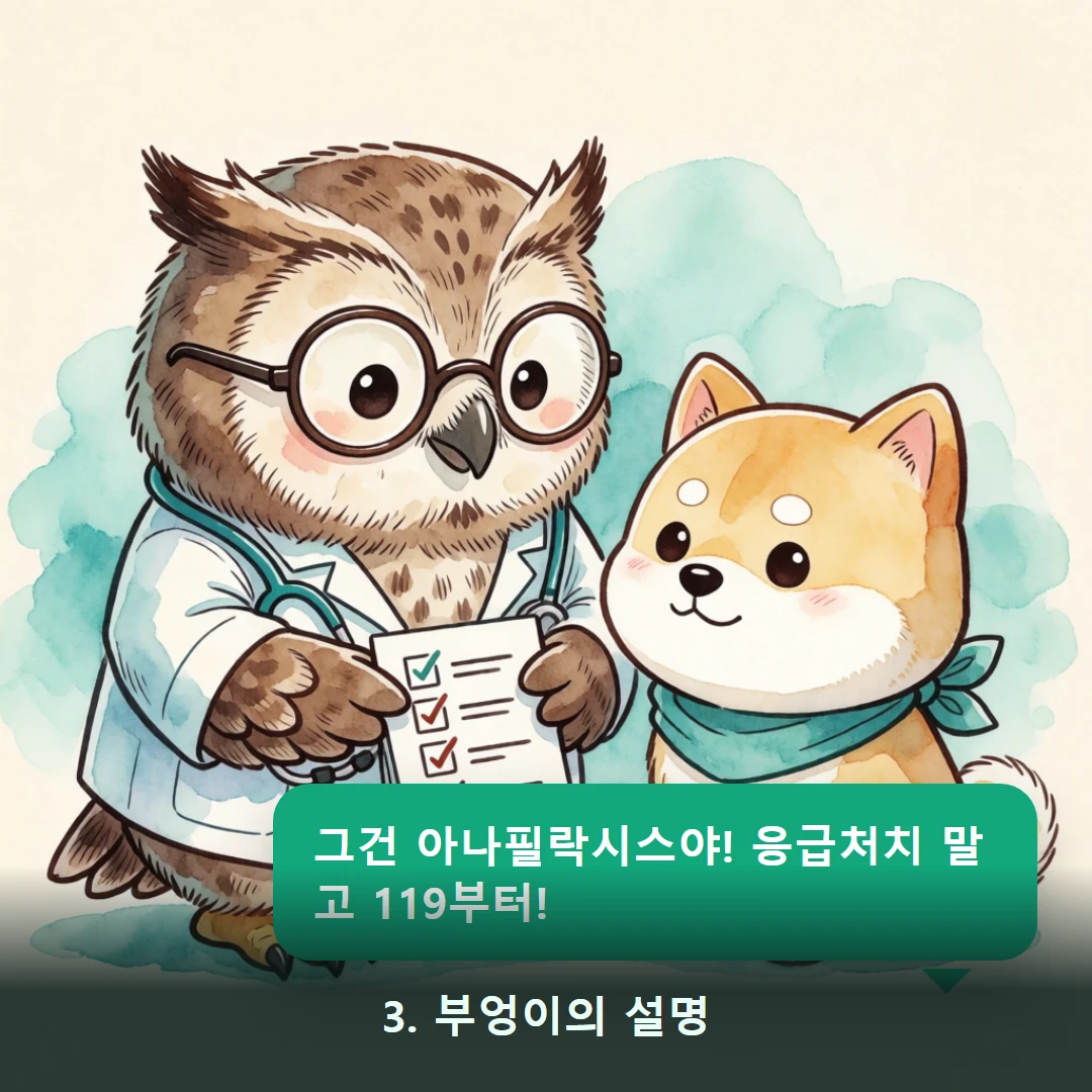 웹툰 3컷 — 3. 부엉이의 설명 (그건 아나필락시스야! 응급처치 말고 119부터!)