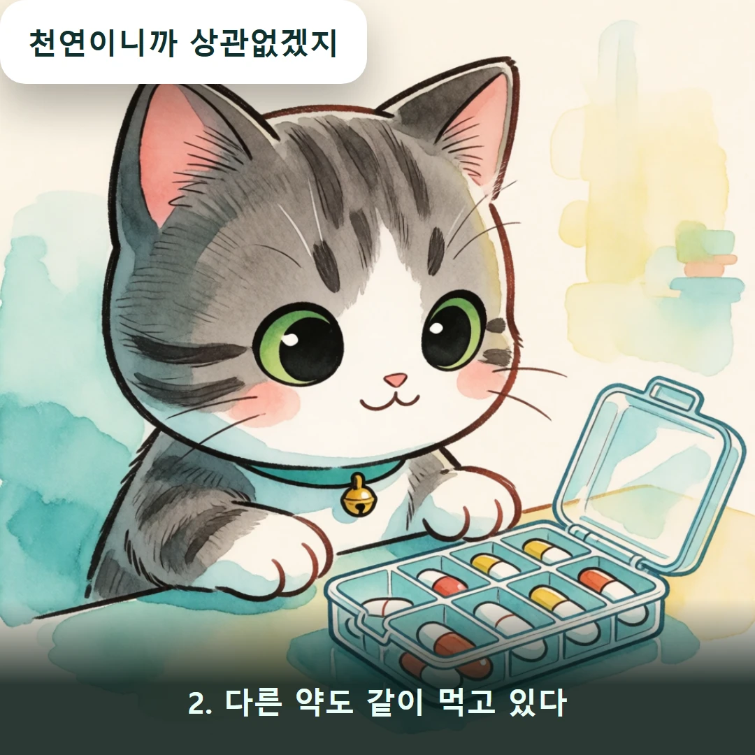 웹툰 2컷 — 2. 다른 약도 같이 먹고 있다 (천연이니까 상관없겠지)