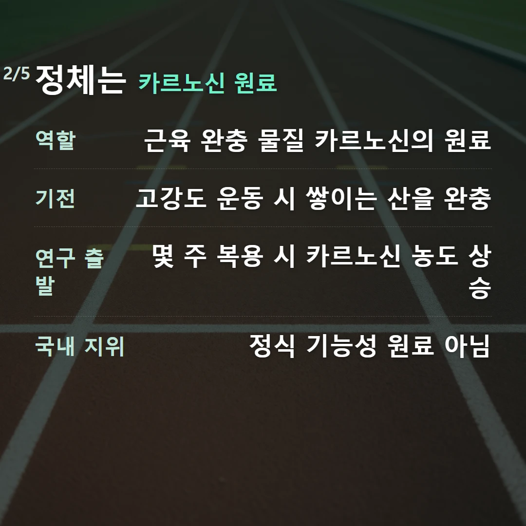 정체는 카르노신 원료 — 역할 근육 완충 물질 카르노신의 원료, 기전 고강도 운동 시 쌓이는 산을 완충, 연구 출발 몇 주 복용 시 카르노신 농도 상승, 국내 지위 정식 기능성 원료 아님