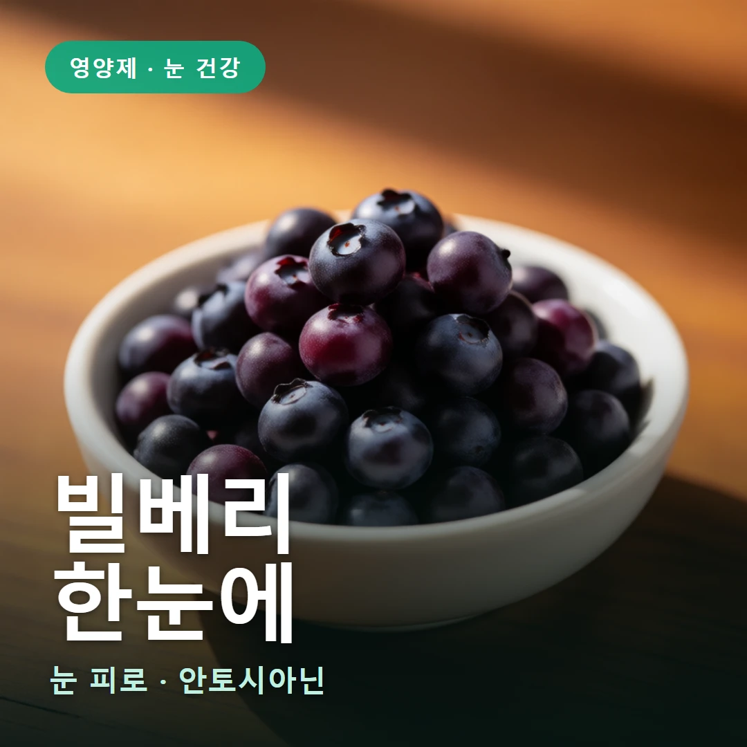 빌베리 요약 표지 — 눈 피로 · 안토시아닌
