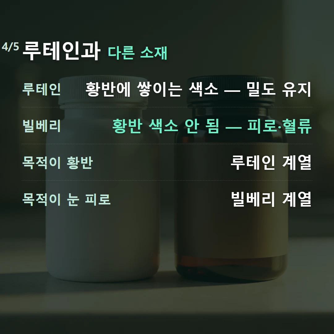 루테인과 다른 소재 — 루테인 황반에 쌓이는 색소 — 밀도 유지, 빌베리 황반 색소 안 됨 — 피로·혈류, 목적이 황반 루테인 계열, 목적이 눈 피로 빌베리 계열