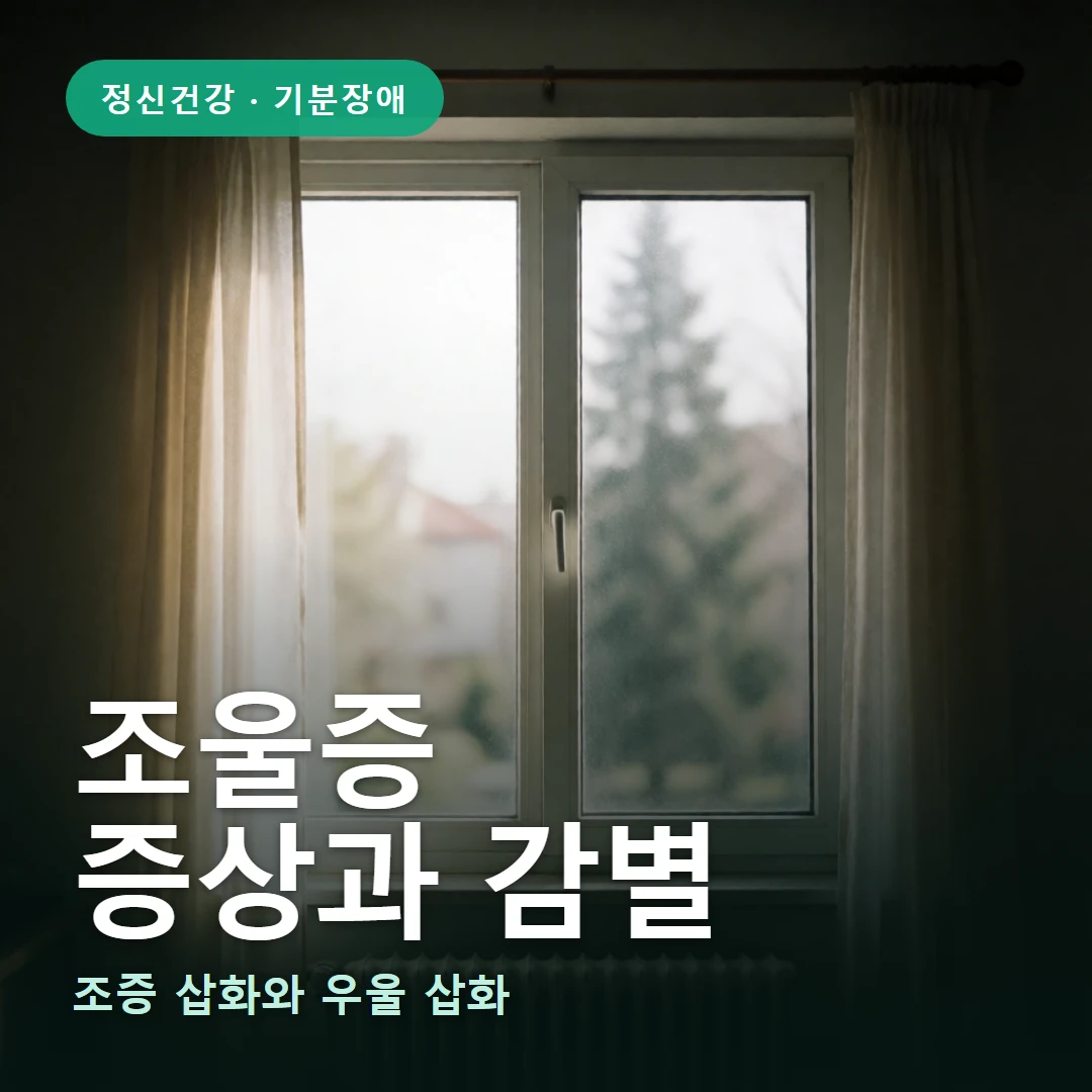 조울증 요약 표지 — 조증 삽화와 우울 삽화