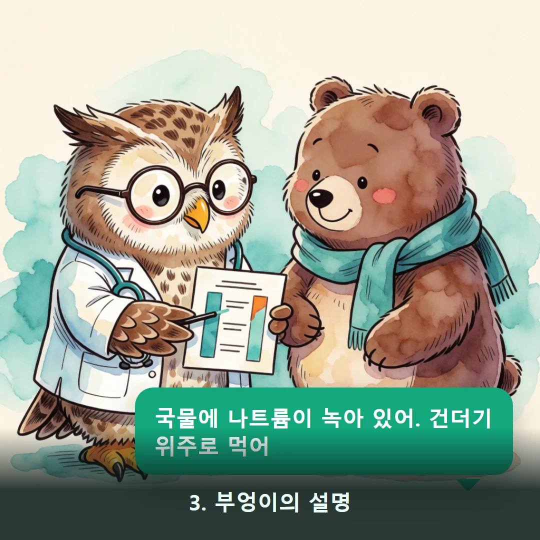 웹툰 3컷 — 3. 부엉이의 설명 (국물에 나트륨이 녹아 있어. 건더기 위주로 먹어)