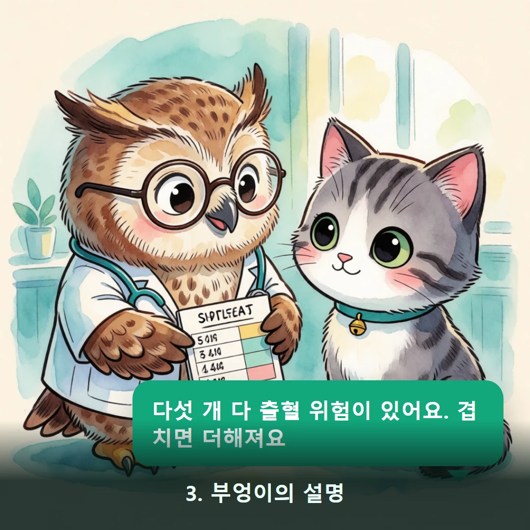 웹툰 3컷 — 3. 부엉이의 설명 (다섯 개 다 출혈 위험이 있어요. 겹치면 더해져요)