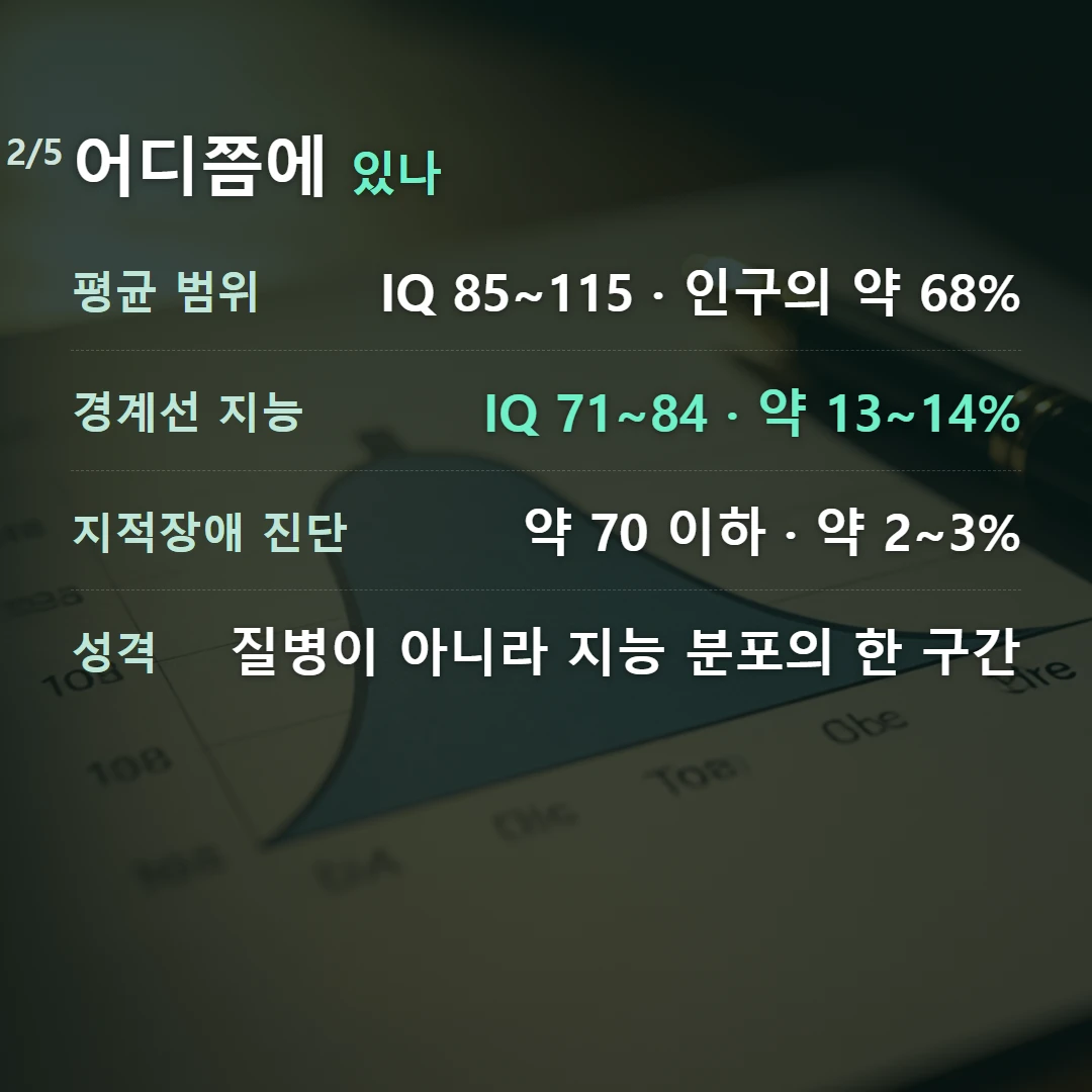 어디쯤에 있나 — 평균 범위 IQ 85~115 · 인구의 약 68%, 경계선 지능 IQ 71~84 · 약 13~14%, 지적장애 진단 약 70 이하 · 약 2~3%, 성격 질병이 아니라 지능 분포의 한 구간
