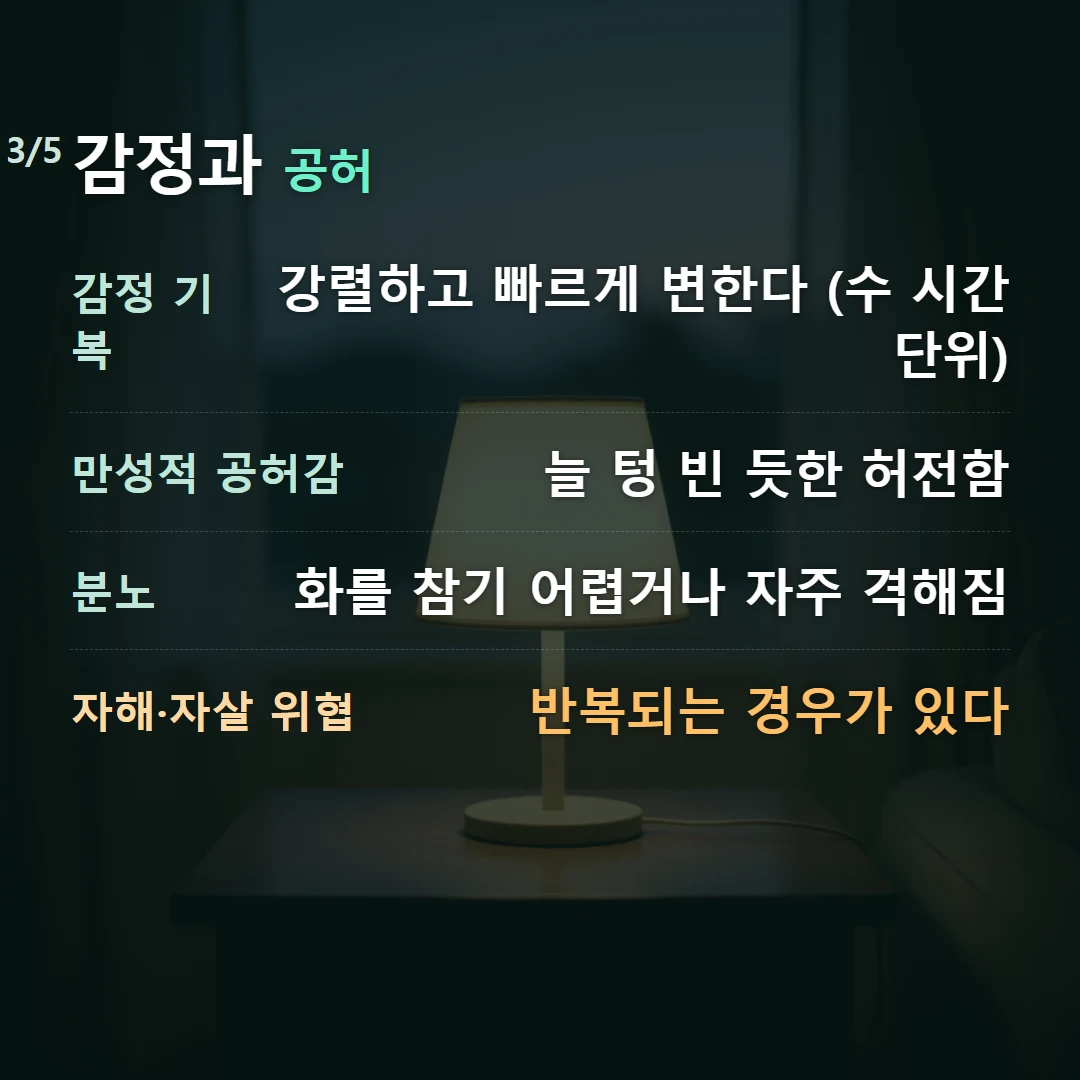 감정과 공허 — 감정 기복 강렬하고 빠르게 변한다 (수 시간 단위), 만성적 공허감 늘 텅 빈 듯한 허전함, 분노 화를 참기 어렵거나 자주 격해짐, 자해·자살 위협 반복되는 경우가 있다