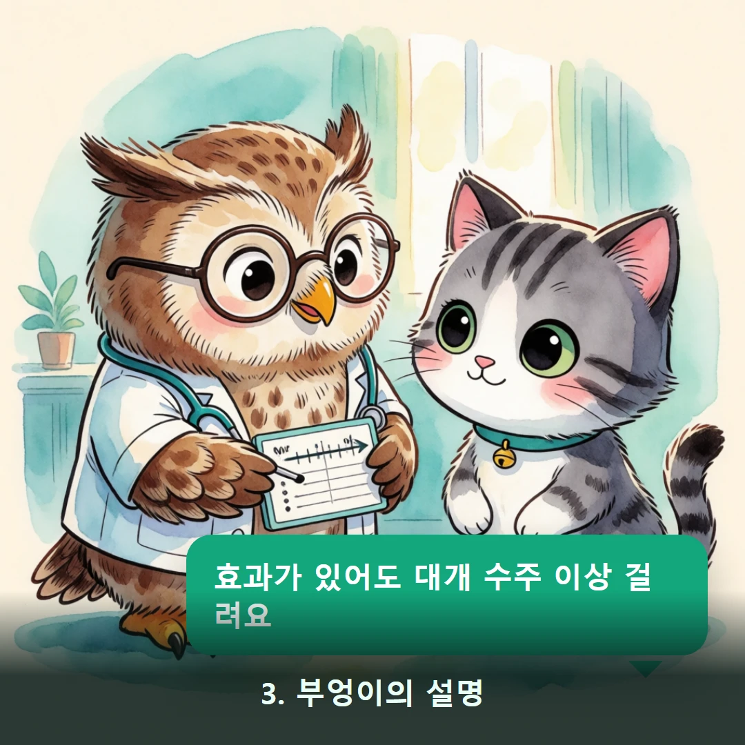 웹툰 3컷 — 3. 부엉이의 설명 (효과가 있어도 대개 수주 이상 걸려요)
