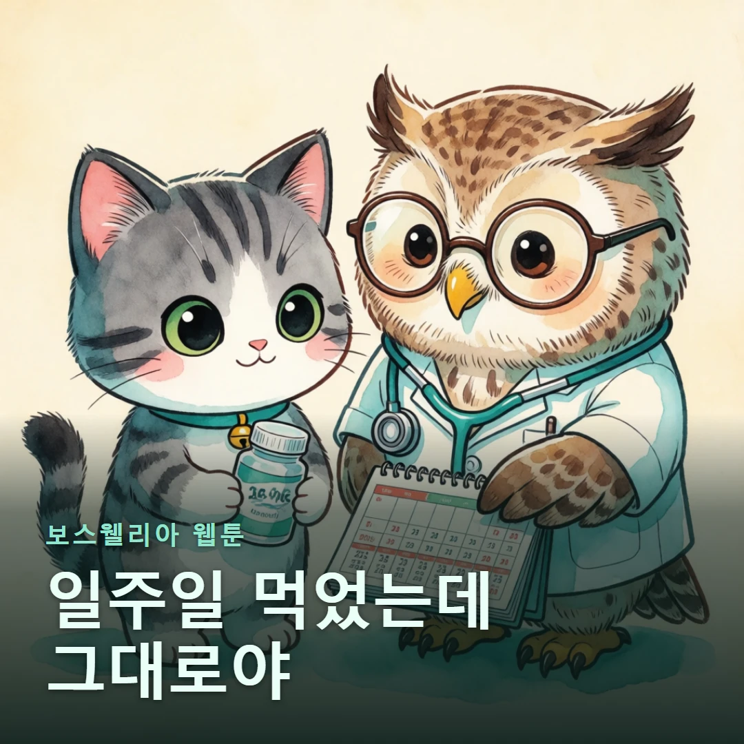 보스웰리아 웹툰 표지 — 일주일 먹었는데 그대로야