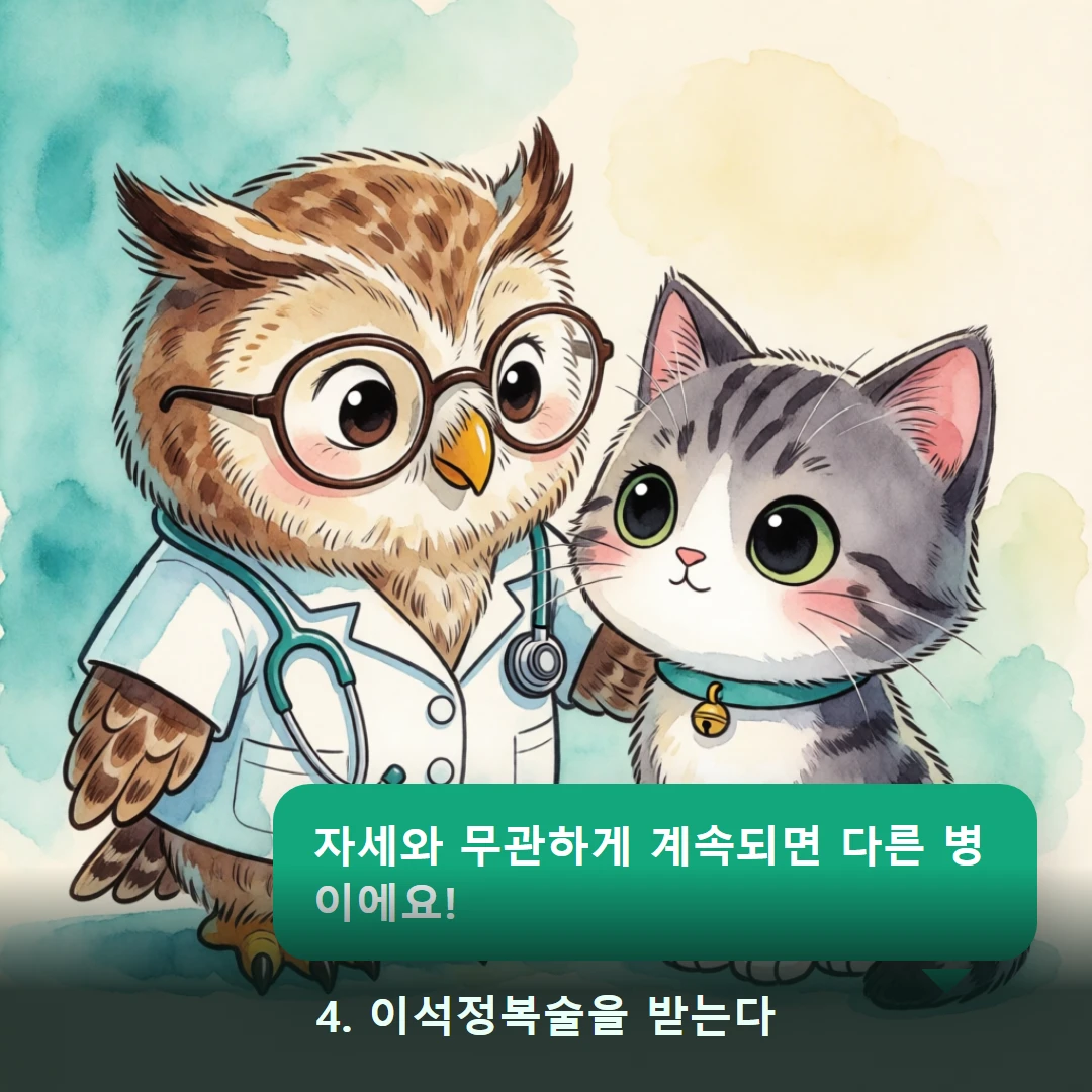 웹툰 4컷 — 4. 이석정복술을 받는다 (자세와 무관하게 계속되면 다른 병이에요!)