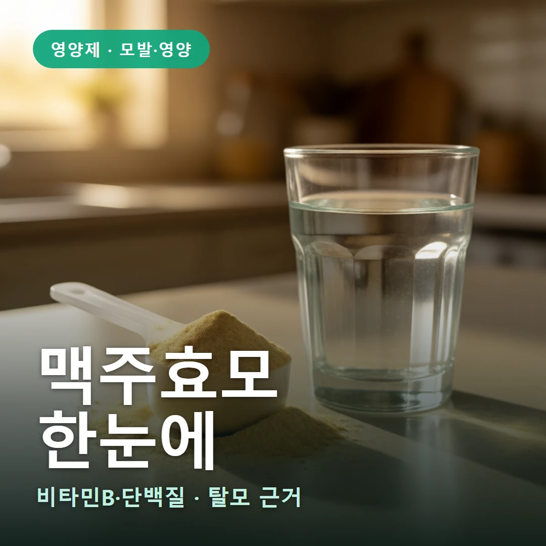 맥주효모 요약 표지 — 비타민B·단백질 · 탈모 근거