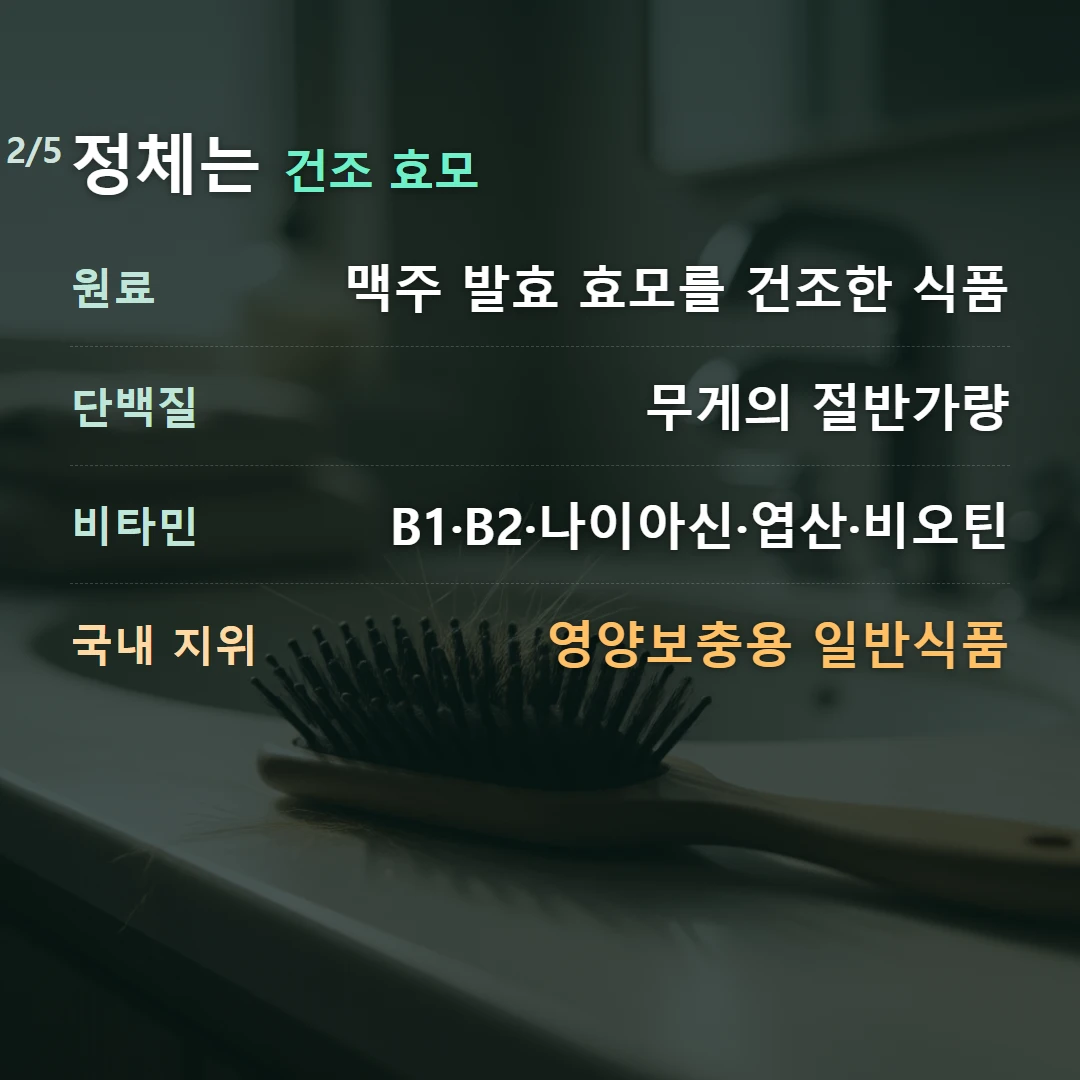 정체는 건조 효모 — 원료 맥주 발효 효모를 건조한 식품, 단백질 무게의 절반가량, 비타민 B1·B2·나이아신·엽산·비오틴, 국내 지위 영양보충용 일반식품