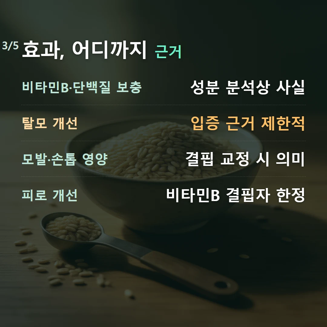 효과, 어디까지 근거 — 비타민B·단백질 보충 성분 분석상 사실, 탈모 개선 입증 근거 제한적, 모발·손톱 영양 결핍 교정 시 의미, 피로 개선 비타민B 결핍자 한정