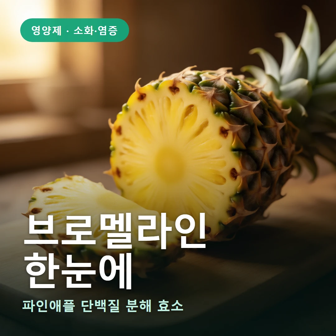 브로멜라인 요약 표지 — 파인애플 단백질 분해 효소