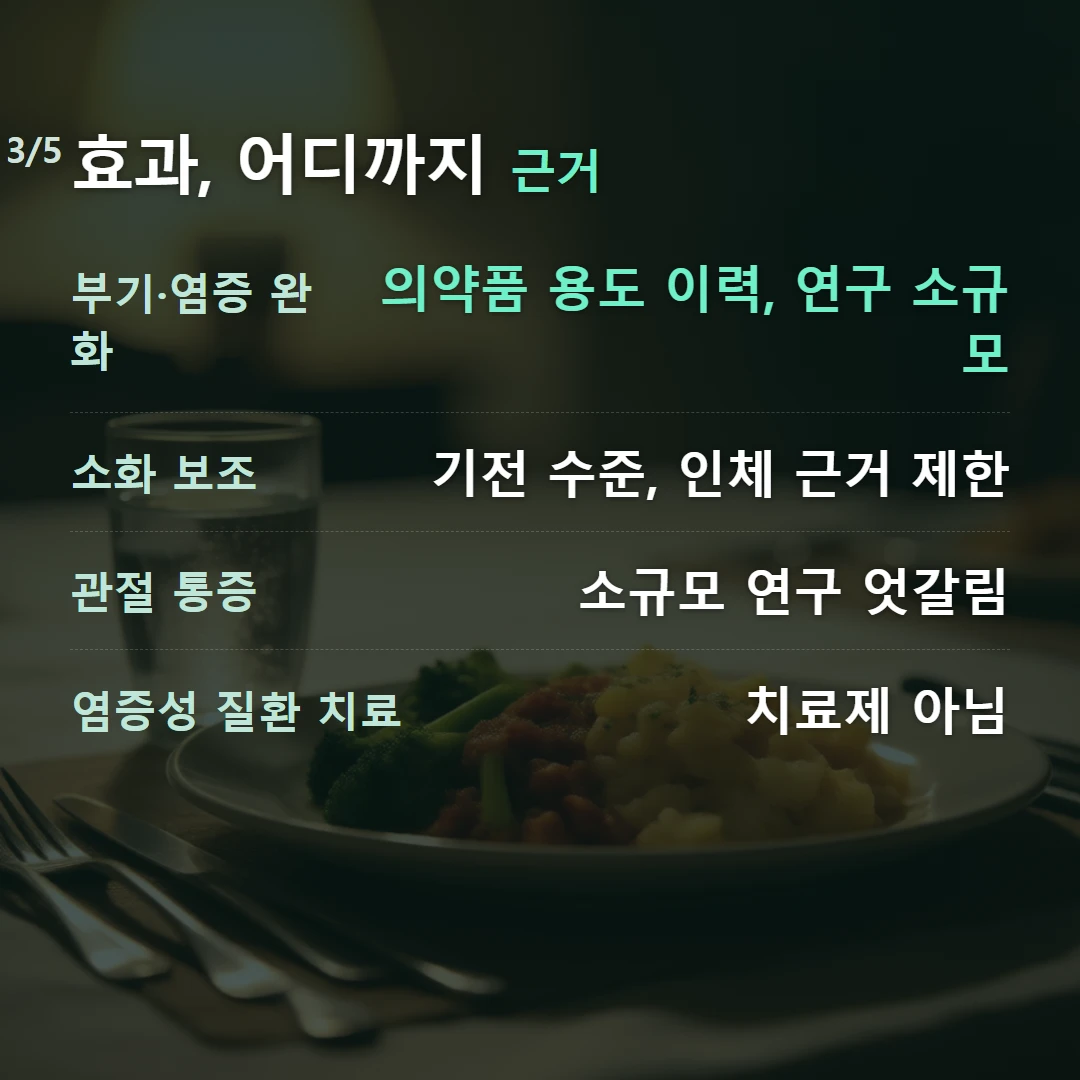 효과, 어디까지 근거 — 부기·염증 완화 의약품 용도 이력, 연구 소규모, 소화 보조 기전 수준, 인체 근거 제한, 관절 통증 소규모 연구 엇갈림, 염증성 질환 치료 치료제 아님