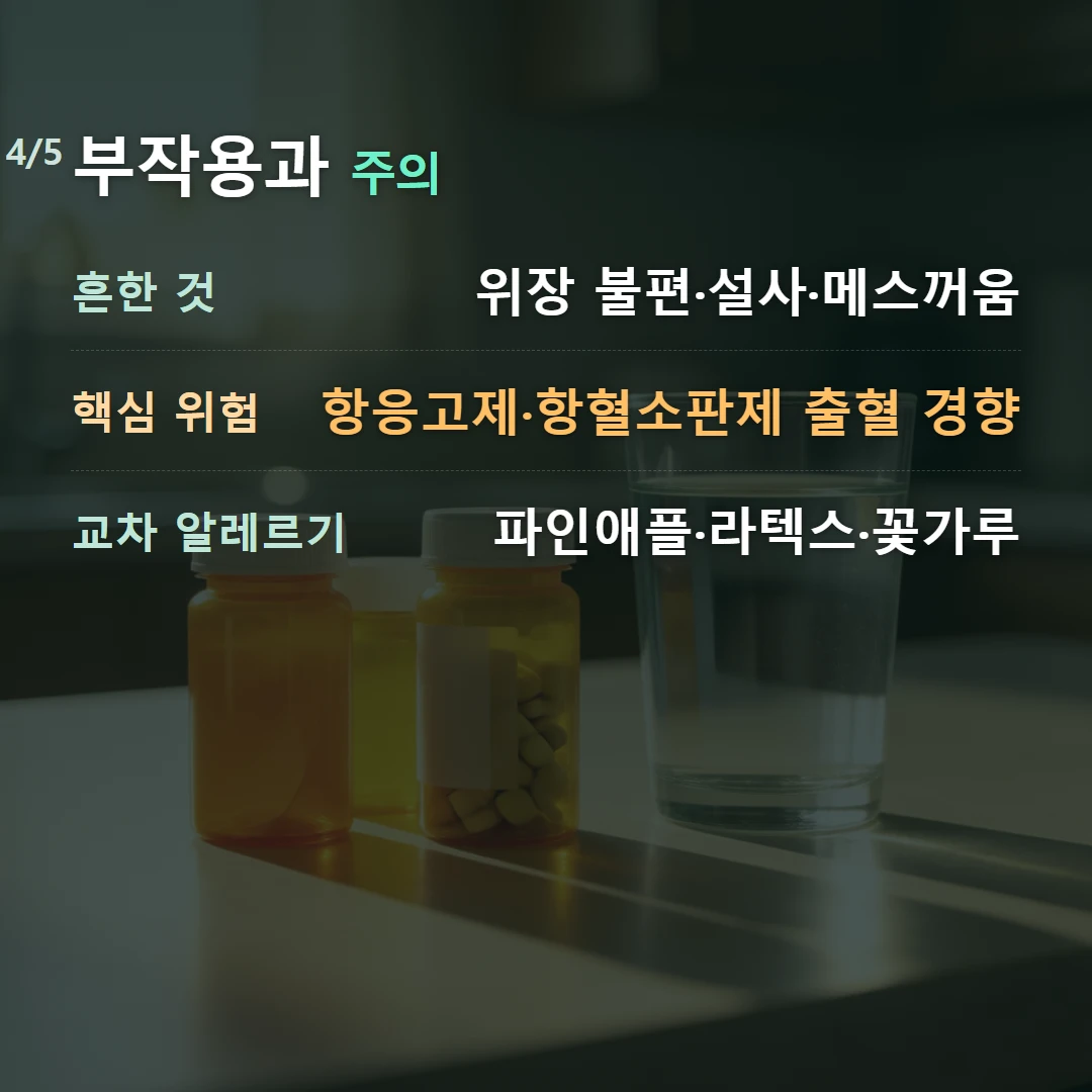 부작용과 주의 — 흔한 것 위장 불편·설사·메스꺼움, 핵심 위험 항응고제·항혈소판제 출혈 경향, 교차 알레르기 파인애플·라텍스·꽃가루