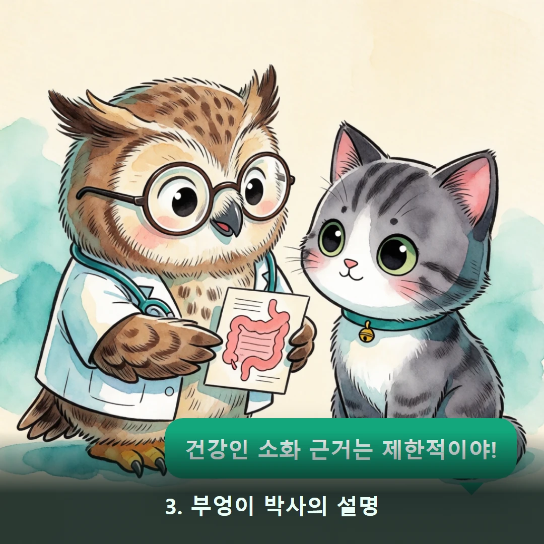 웹툰 3컷 — 3. 부엉이 박사의 설명 (건강인 소화 근거는 제한적이야!)