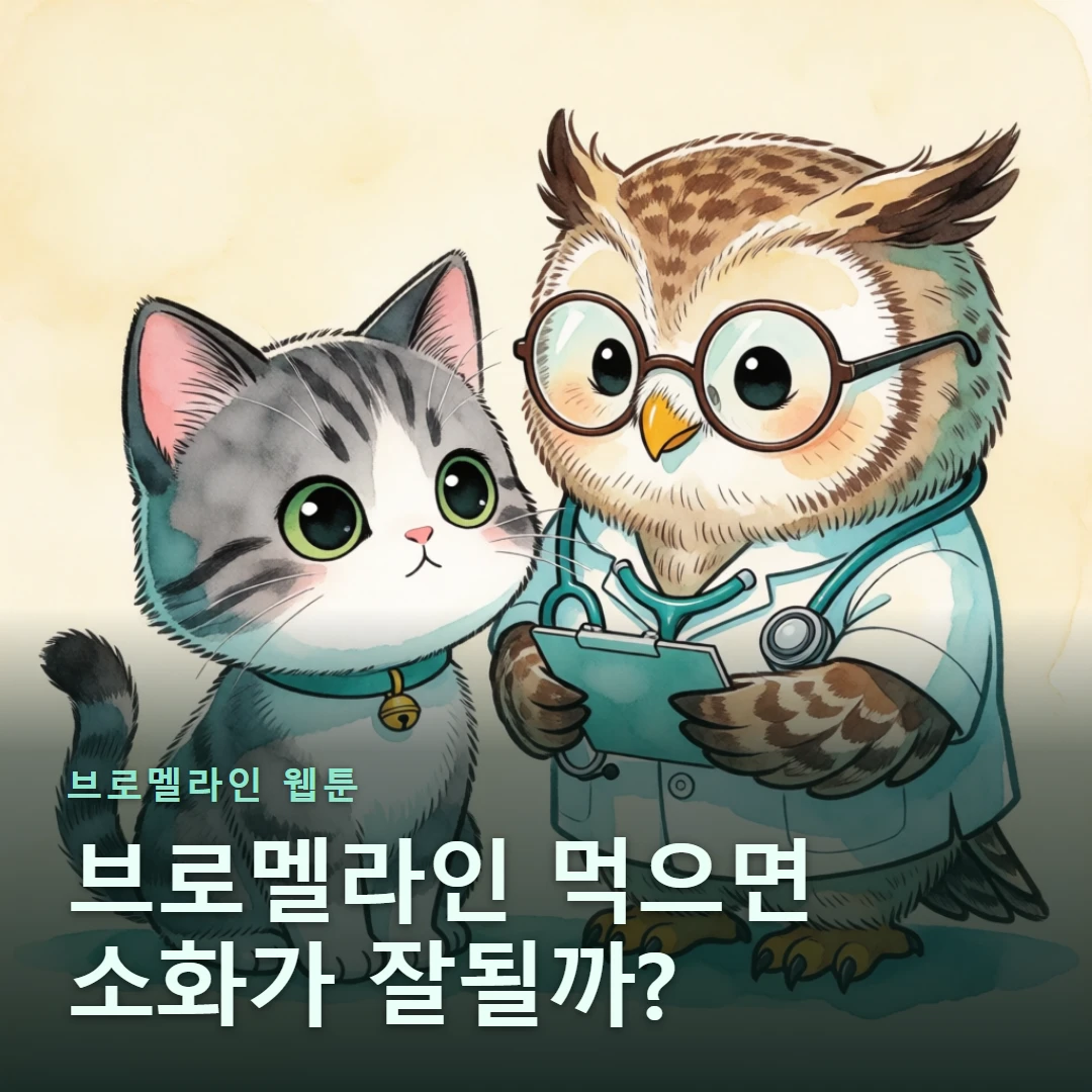 브로멜라인 웹툰 표지 — 브로멜라인 먹으면 소화가 잘될까?