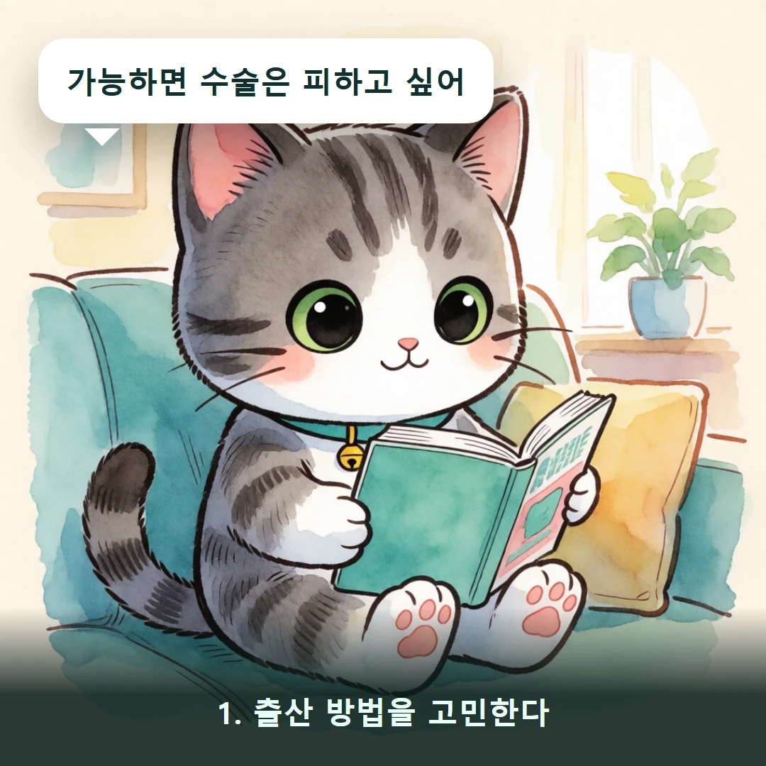 웹툰 1컷 — 1. 출산 방법을 고민한다 (가능하면 수술은 피하고 싶어)