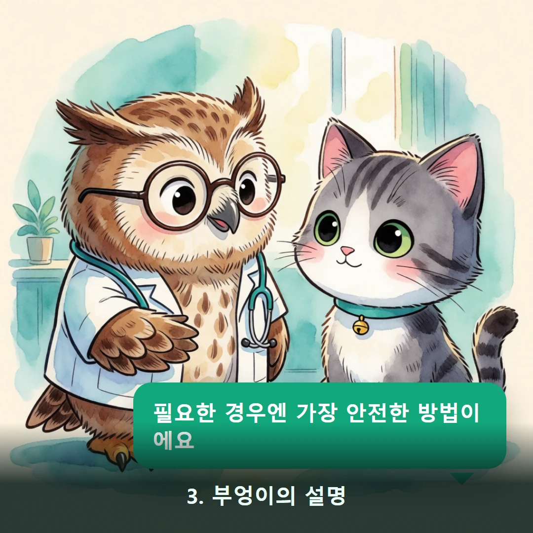 웹툰 3컷 — 3. 부엉이의 설명 (필요한 경우엔 가장 안전한 방법이에요)