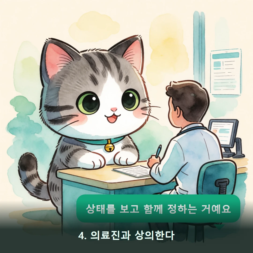 웹툰 4컷 — 4. 의료진과 상의한다 (상태를 보고 함께 정하는 거예요)