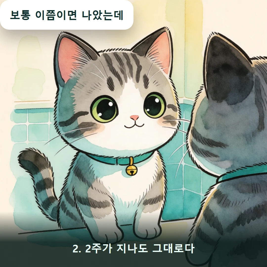웹툰 2컷 — 2. 2주가 지나도 그대로다 (보통 이쯤이면 나았는데)