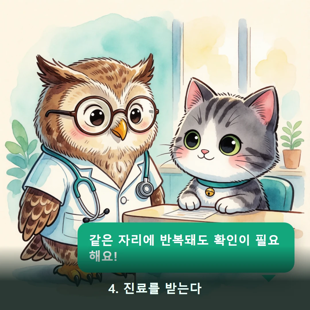 웹툰 4컷 — 4. 진료를 받는다 (같은 자리에 반복돼도 확인이 필요해요!)