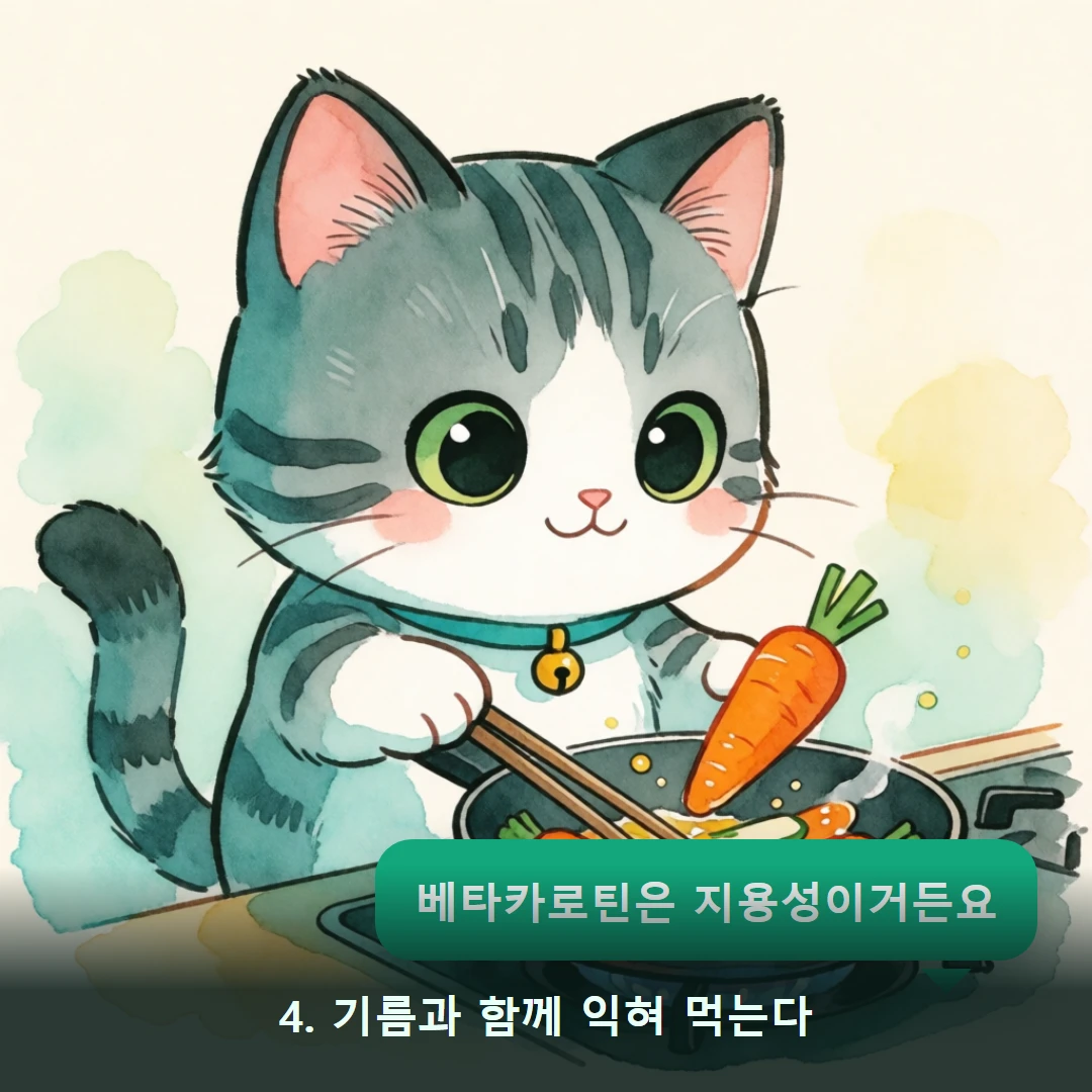 웹툰 4컷 — 4. 기름과 함께 익혀 먹는다 (베타카로틴은 지용성이거든요)
