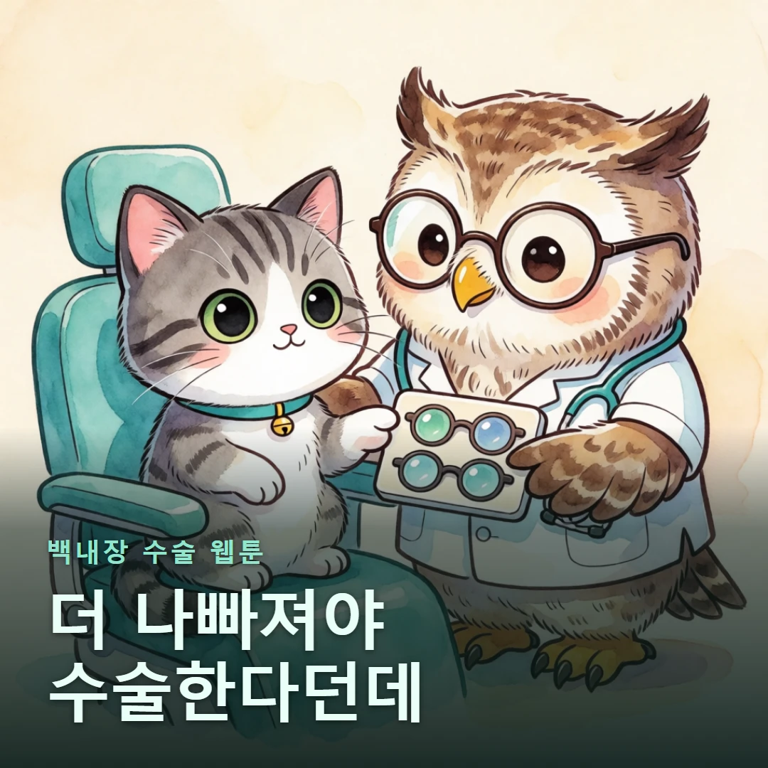 백내장 수술 웹툰 표지 — 더 나빠져야 수술한다던데