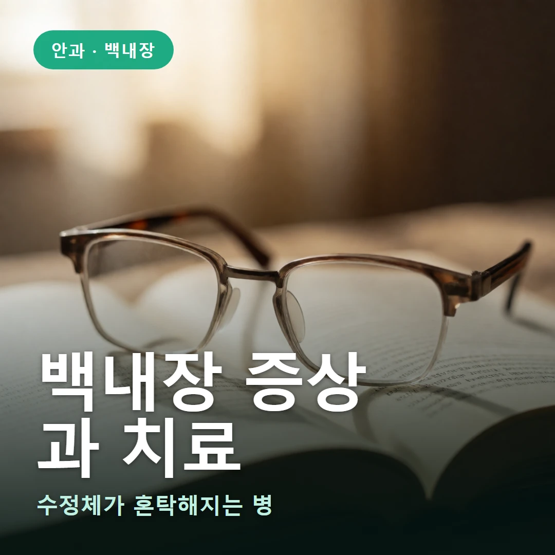 백내장 요약 표지 — 수정체가 혼탁해지는 병