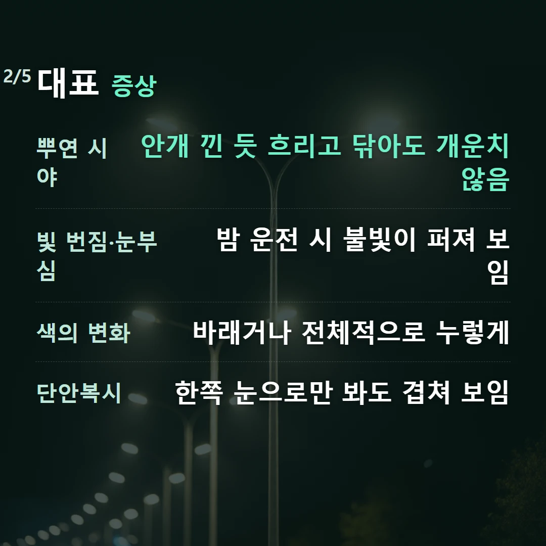 대표 증상 — 뿌연 시야 안개 낀 듯 흐리고 닦아도 개운치 않음, 빛 번짐·눈부심 밤 운전 시 불빛이 퍼져 보임, 색의 변화 바래거나 전체적으로 누렇게, 단안복시 한쪽 눈으로만 봐도 겹쳐 보임