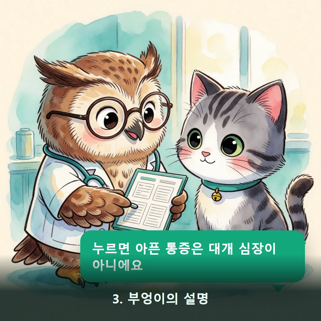 웹툰 3컷 — 3. 부엉이의 설명 (누르면 아픈 통증은 대개 심장이 아니에요)