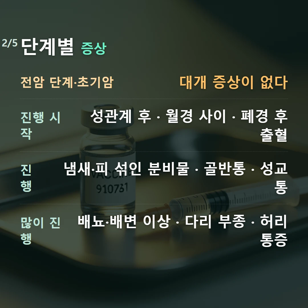 단계별 증상 — 전암 단계·초기암 대개 증상이 없다, 진행 시작 성관계 후 · 월경 사이 · 폐경 후 출혈, 진행 냄새·피 섞인 분비물 · 골반통 · 성교통, 많이 진행 배뇨·배변 이상 · 다리 부종 · 허리 통증