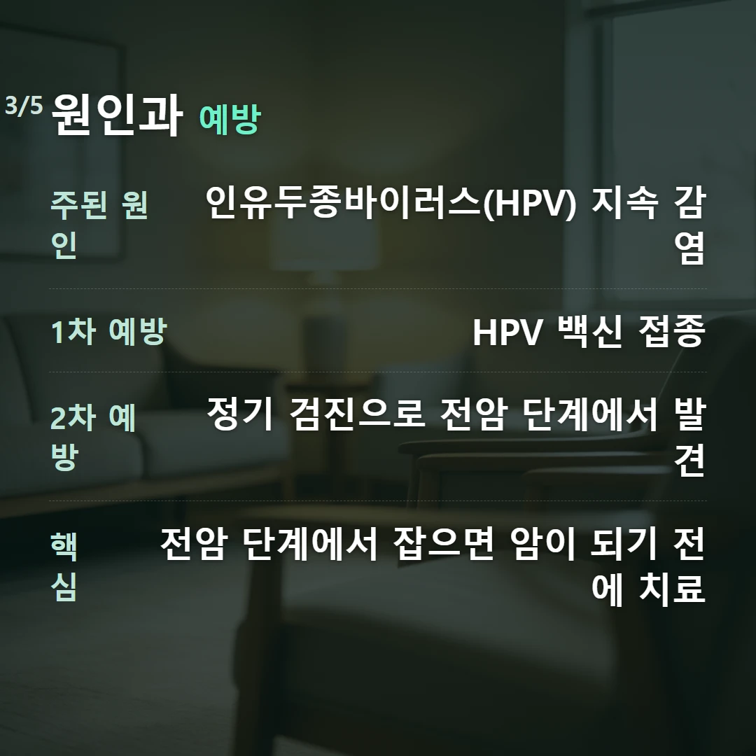 원인과 예방 — 주된 원인 인유두종바이러스(HPV) 지속 감염, 1차 예방 HPV 백신 접종, 2차 예방 정기 검진으로 전암 단계에서 발견, 핵심 전암 단계에서 잡으면 암이 되기 전에 치료