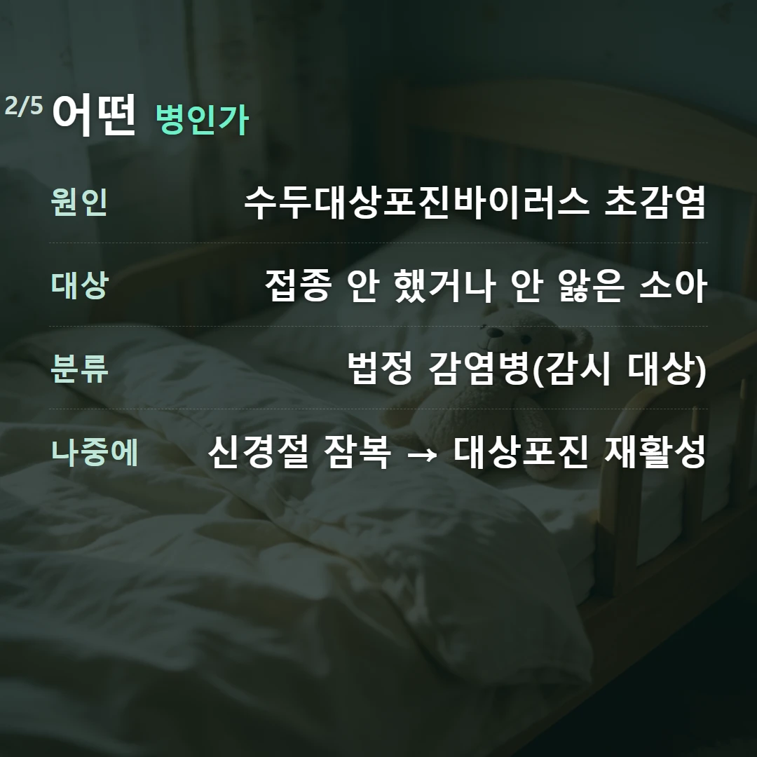 어떤 병인가 — 원인 수두대상포진바이러스 초감염, 대상 접종 안 했거나 안 앓은 소아, 분류 법정 감염병(감시 대상), 나중에 신경절 잠복 → 대상포진 재활성