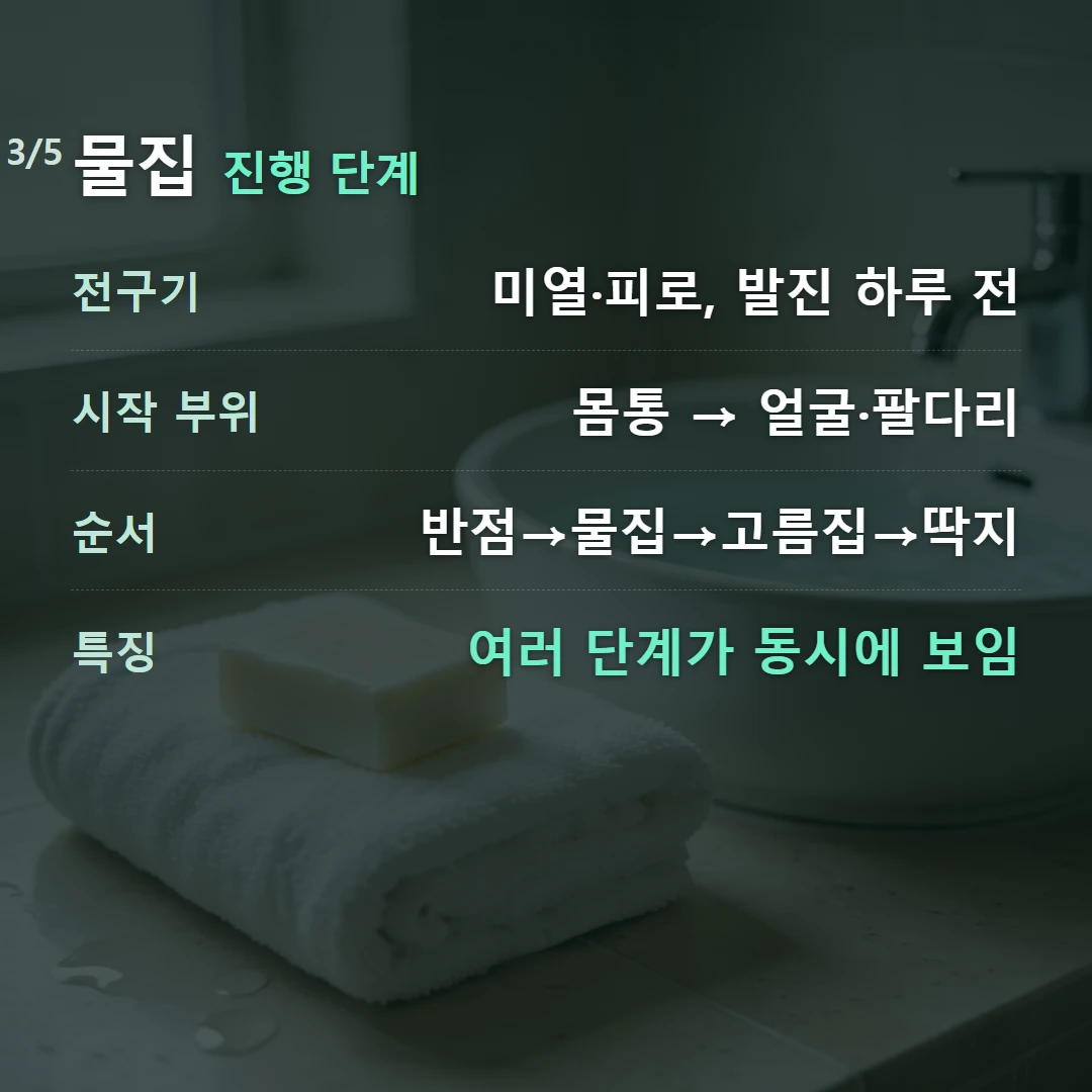 물집 진행 단계 — 전구기 미열·피로, 발진 하루 전, 시작 부위 몸통 → 얼굴·팔다리, 순서 반점→물집→고름집→딱지, 특징 여러 단계가 동시에 보임