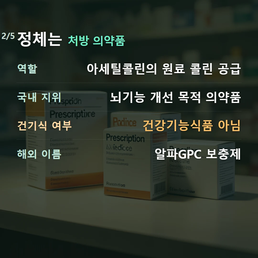 정체는 처방 의약품 — 역할 아세틸콜린의 원료 콜린 공급, 국내 지위 뇌기능 개선 목적 의약품, 건기식 여부 건강기능식품 아님, 해외 이름 알파GPC 보충제