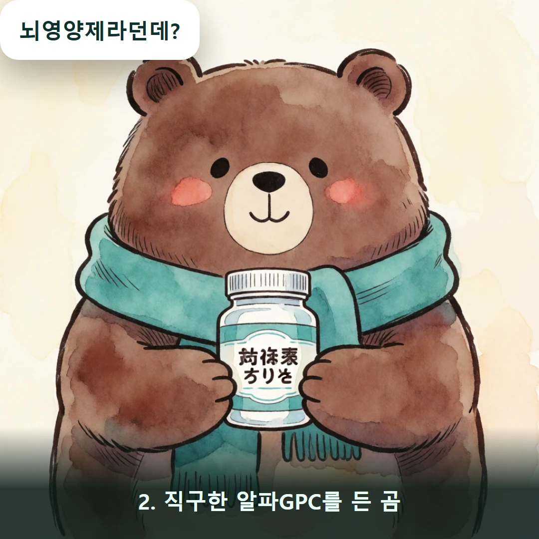 웹툰 2컷 — 2. 직구한 알파GPC를 든 곰 (뇌영양제라던데?)