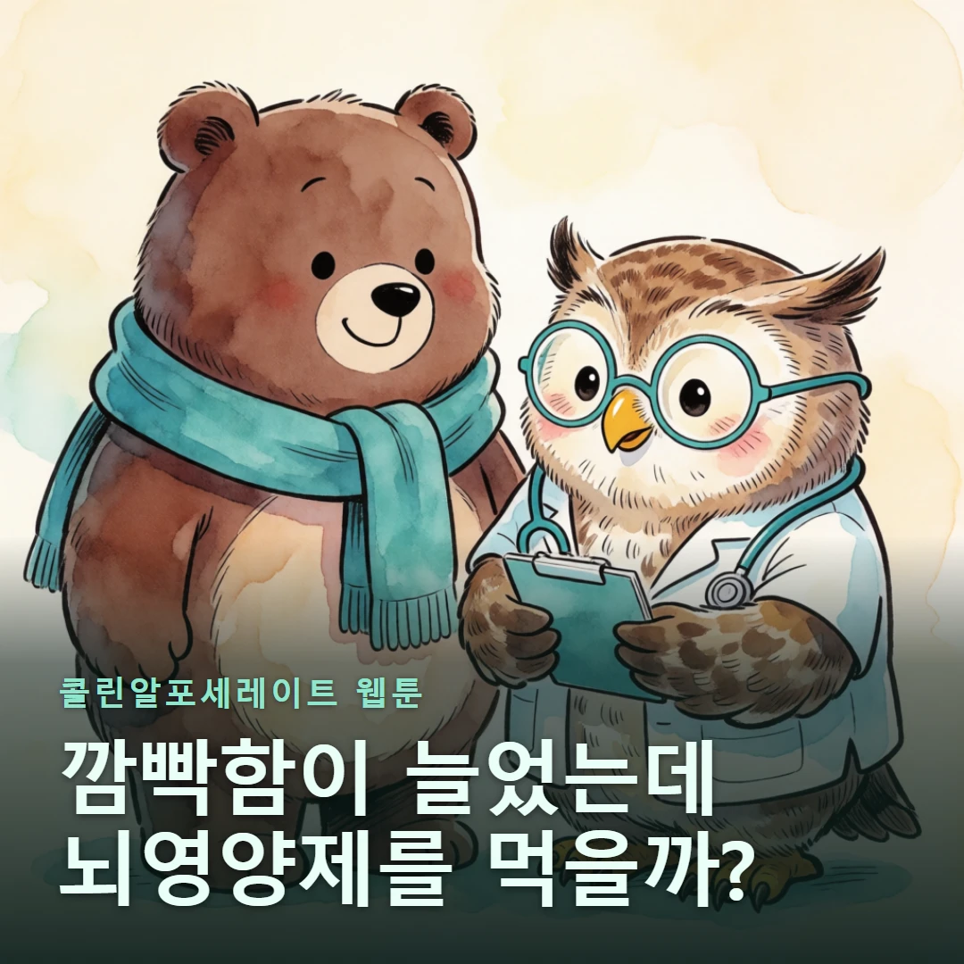 콜린알포세레이트 웹툰 표지 — 깜빡함이 늘었는데 뇌영양제를 먹을까?