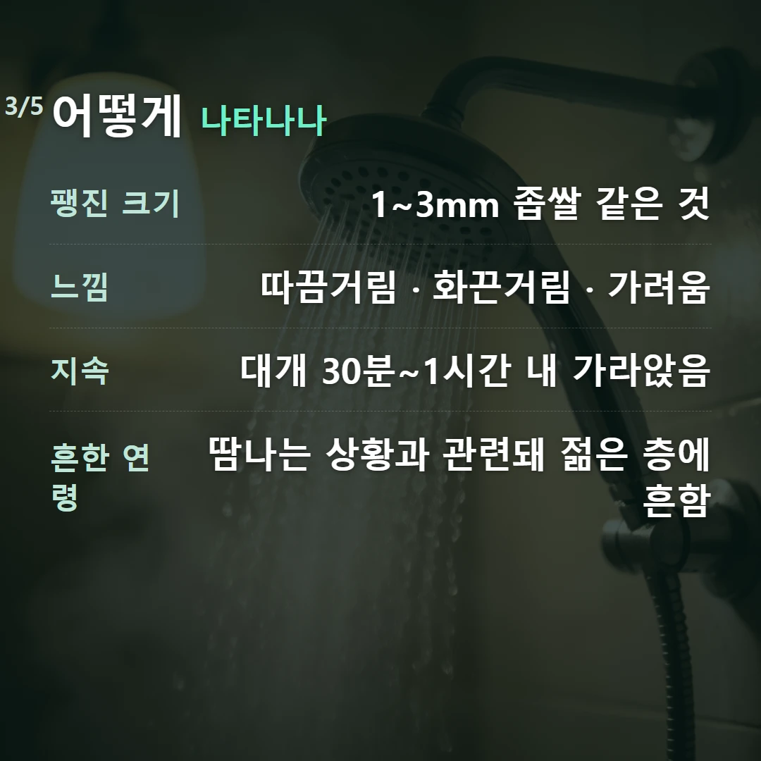 어떻게 나타나나 — 팽진 크기 1~3mm 좁쌀 같은 것, 느낌 따끔거림 · 화끈거림 · 가려움, 지속 대개 30분~1시간 내 가라앉음, 흔한 연령 땀나는 상황과 관련돼 젊은 층에 흔함