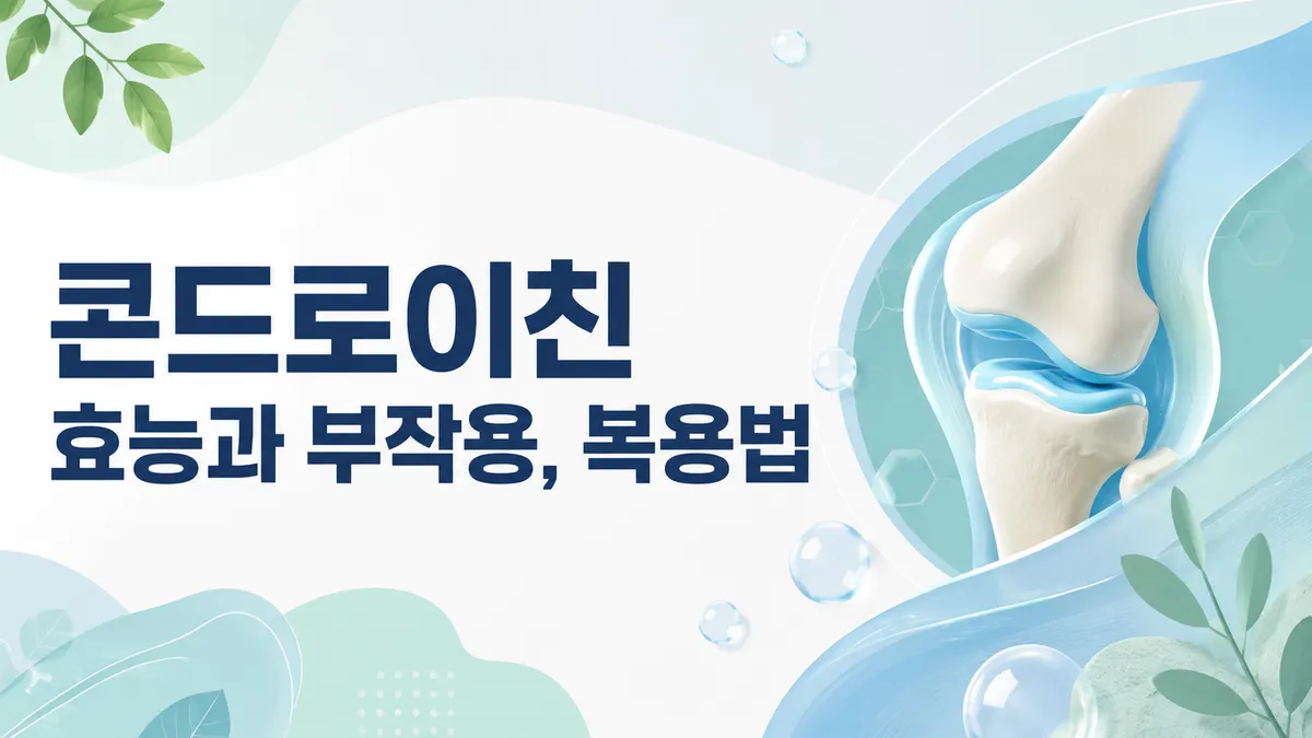 콘드로이친 효능, 근거는 어디까지인가