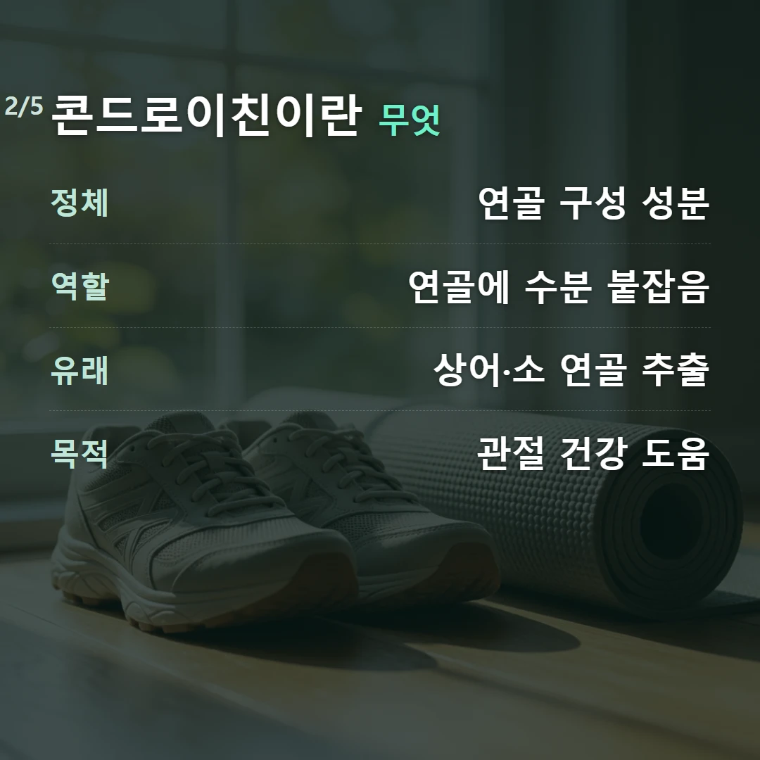 콘드로이친이란 무엇 — 정체 연골 구성 성분, 역할 연골에 수분 붙잡음, 유래 상어·소 연골 추출, 목적 관절 건강 도움